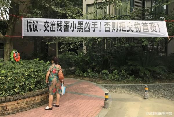 小區野狗被殺，愛狗人士抗議，城市流浪狗應如何處理？丨今日話題 萌寵 第2張