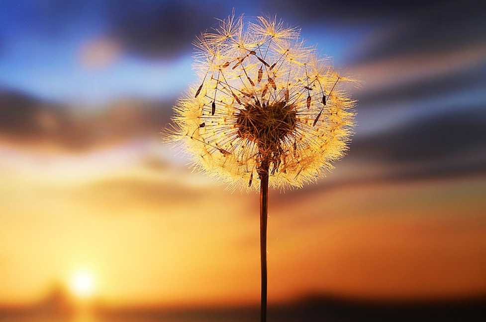 实践篇|如何识别心的指引，真正做自己