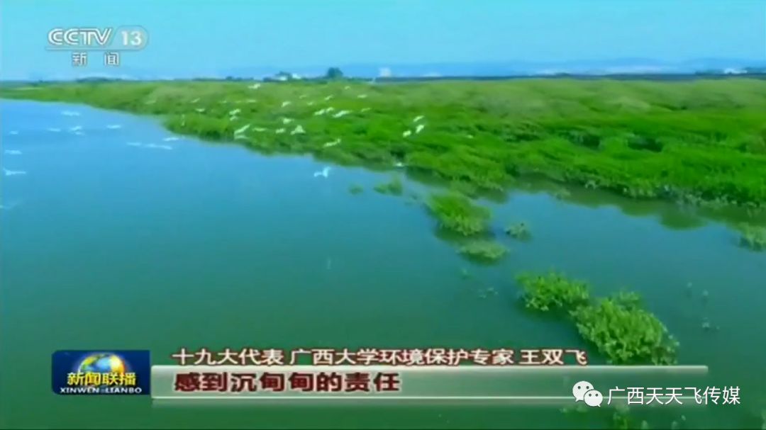 【围观】天天飞作品又双叒叕亮相央视！(图5)