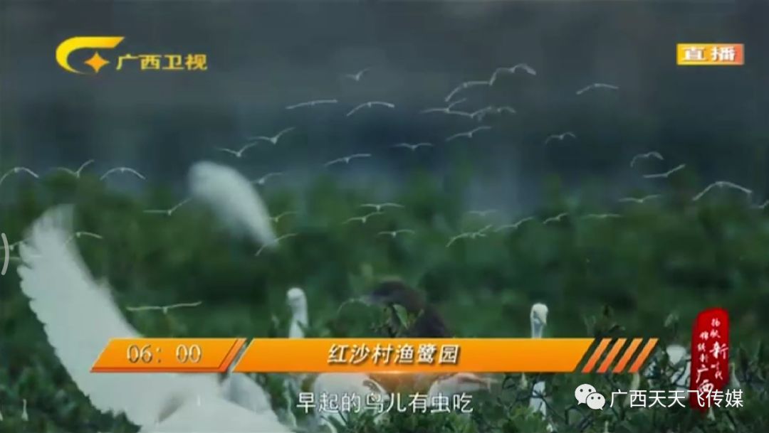 【围观】天天飞作品又双叒叕亮相央视！(图7)