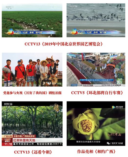 【骄傲】天天飞两家公司成功入选广西自治区2019年 科技型中小企业名单(图9)