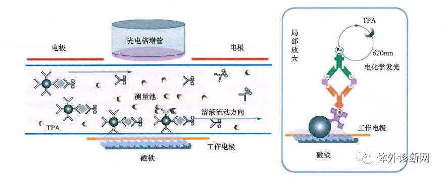 化学发光仪哪些品牌好罗雅贝西、安图、迈瑞、亚辉龙、希森美康、透景、新产业等16家化学发光仪大盘点！_https://www.jmylbn.com_新闻资讯_第12张
