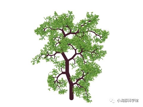 雪花怎么画_python turtle画雪花_油水分离法画雪花