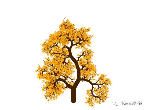 油水分离法画雪花_python turtle画雪花_雪花怎么画