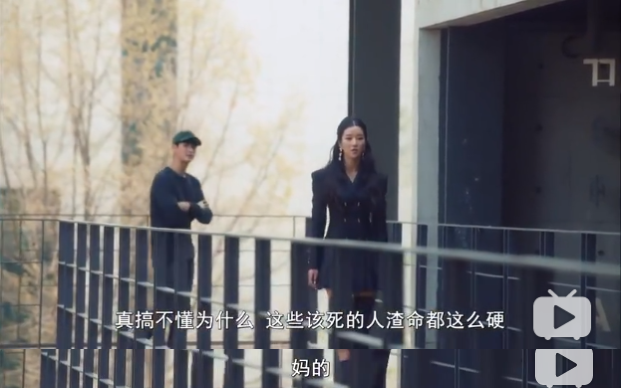 一个恋爱脑，一个神经病？