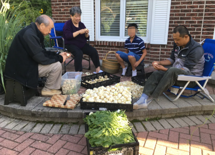 放弃北京高薪， 华人全家移民加拿大种菜（组图） - 8
