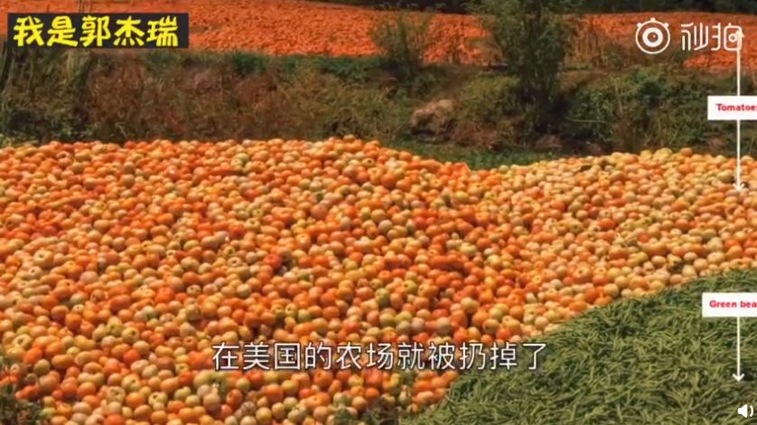 美国新商机?下班后兼职捡垃圾 一晚收入 3000 美金 美国新商机?下班后兼职捡垃圾 一晚收入 3000 美金