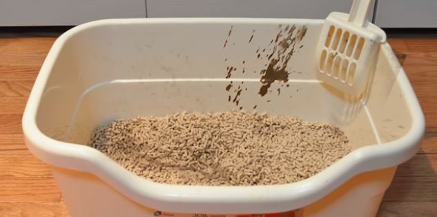 用了5年的床单也能退？Costco员工分享奇葩退货事儿，太夸张！（组图） - 15