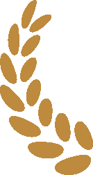 ESG社会议题 _ 数据安全与隐私保护