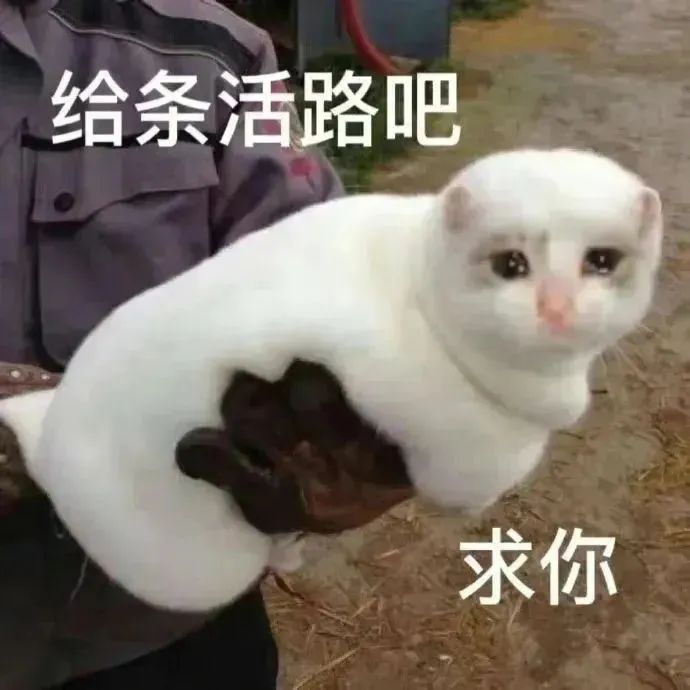 读懂亚马逊新政三大关键点！别被拒收或额外收费！