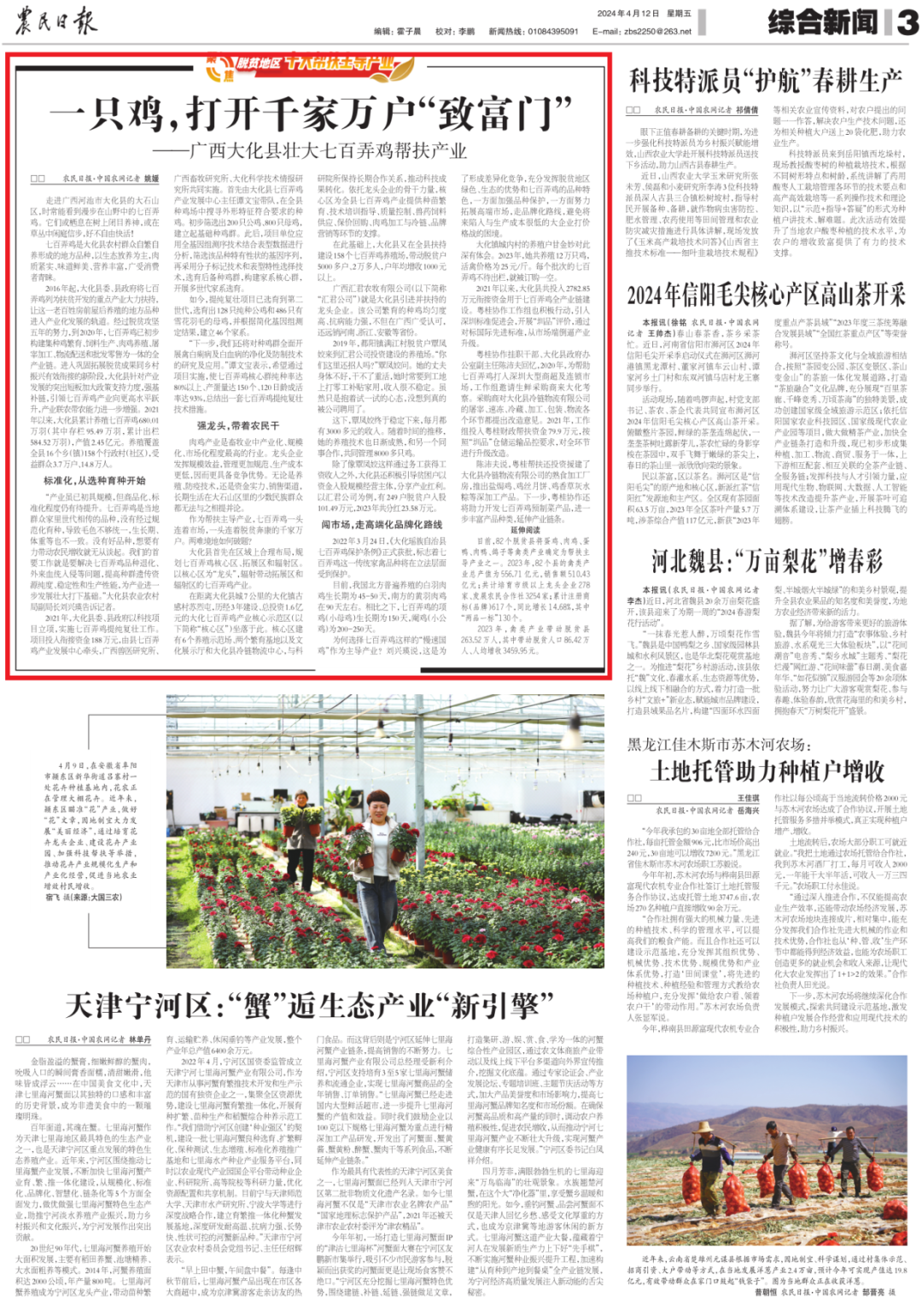 图央媒看广西农民日报关注广西大化发展壮大七百弄鸡产业