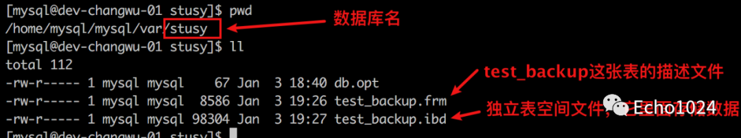 大型面试现场，趣学MySQL的10种文件