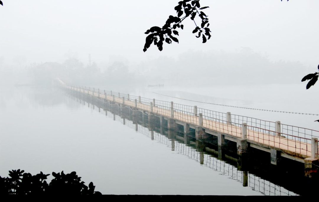 红星新闻 成都东部新区15个镇（街道）首次集体亮相