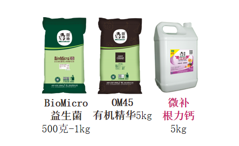 微补根腐三剑客