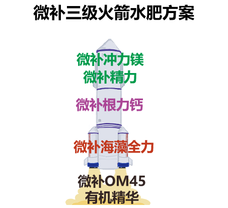 微補三級火箭水肥方案