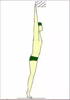 北京游泳教练培训