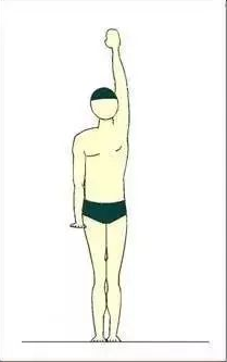 北京游泳教练培训