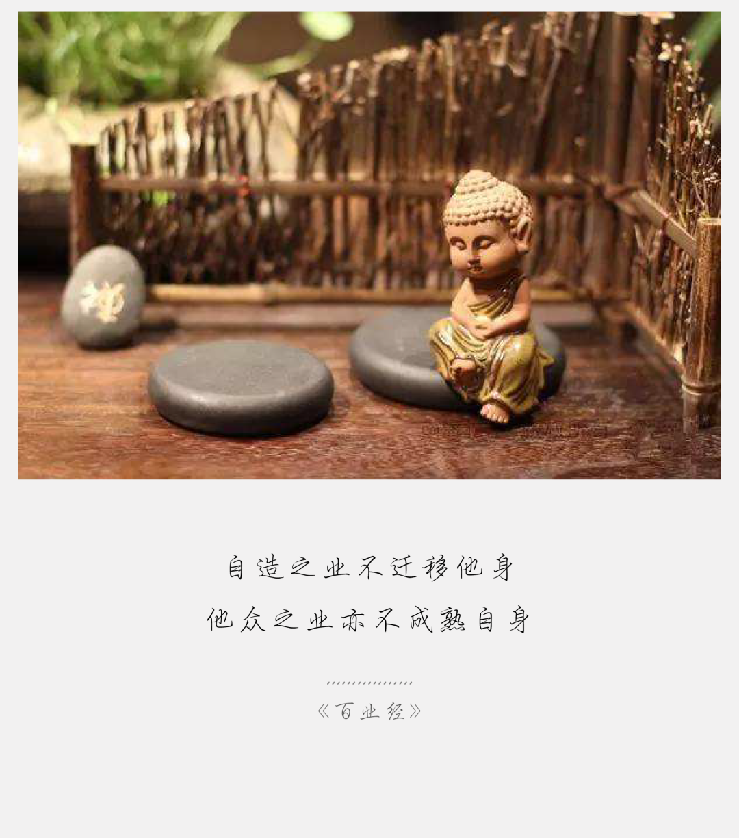 次第花开 自由微信 Freewechat