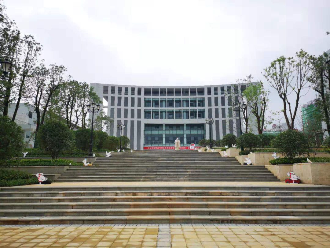 九华和平科大小学:集思广益,用心创造,"开出"新意
