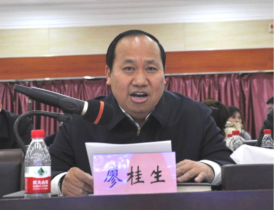 2019年湘潭市电子信息产业链供需对接会召开