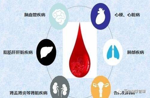 血毒大扫除,就要血液大净化