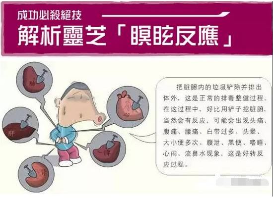 恭喜你！当你服用灵芝孢子粉后如有以下情况出现时，切记不要放弃