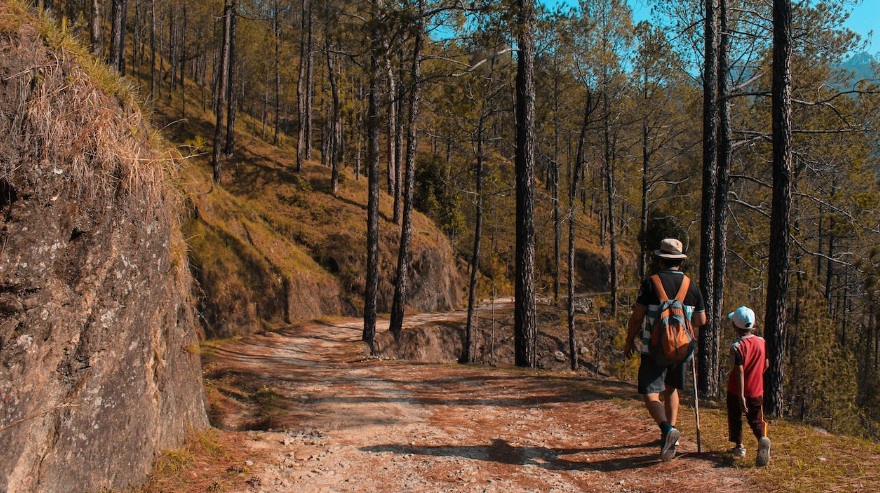 “保险金信托”解决哪些问题？「典型案例」教你如何操作