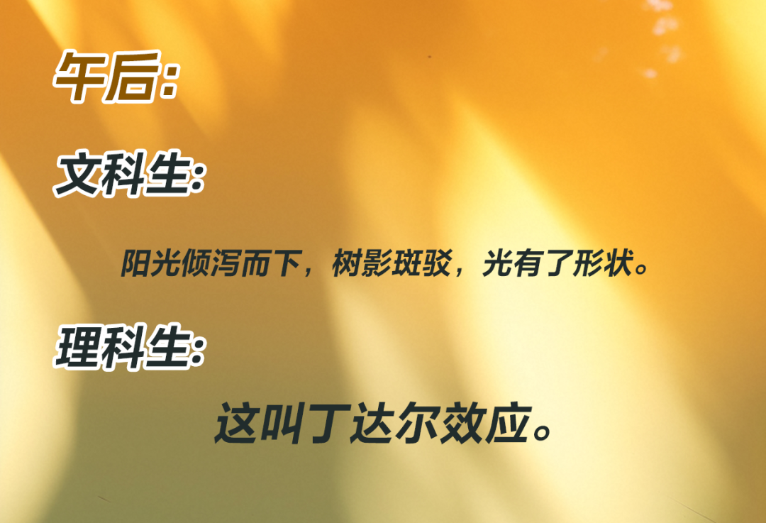 文科生不允许在晚上说吹海风