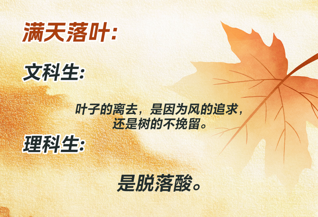 文科生不允许在晚上说吹海风