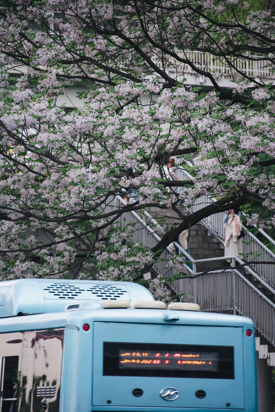 这些游客“自创”的重庆打卡点，本地人追着求攻略！