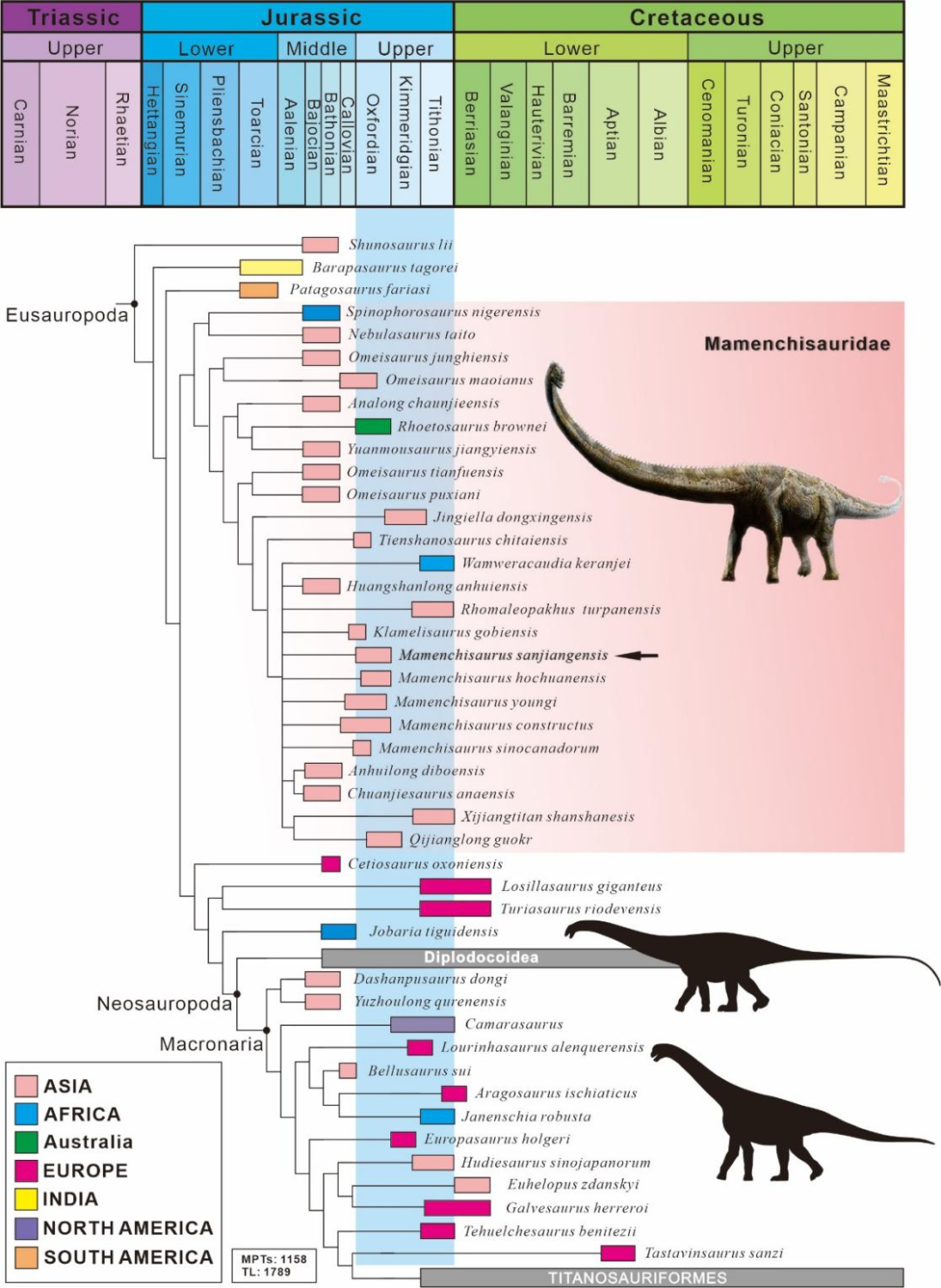 蜥脚类恐龙系统发育位置图（箭头指示三江马门溪龙所在系统发育位置）。受访者供图