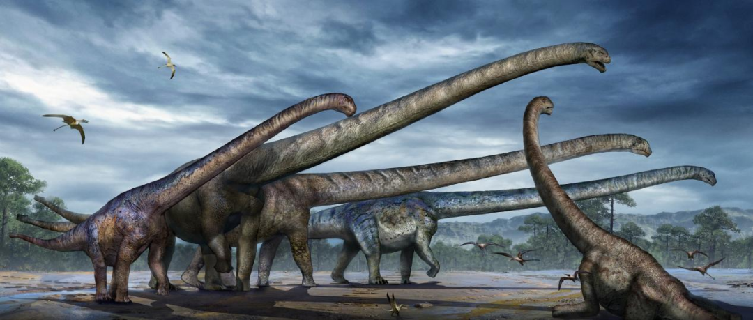 三江马门溪龙生活场景复原图。受访者供图