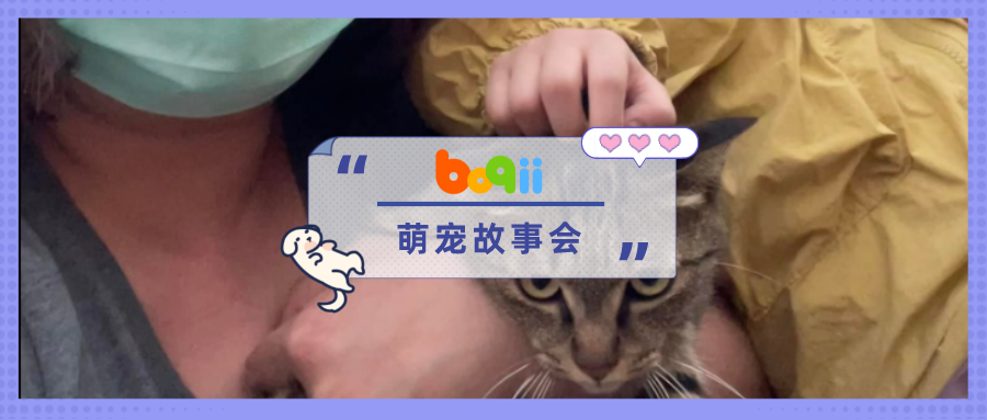 「你要跟我回家吗？」小女孩路遇流浪狸花，听到邀请后乖乖进笼回家家！