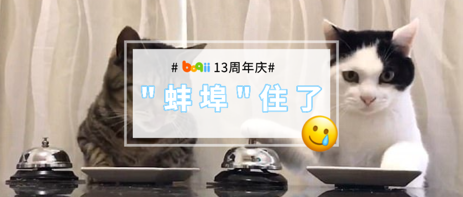 【13周年庆赢好礼】如果出现这些下意识表现，说明你已经被宠物“调教”好了！