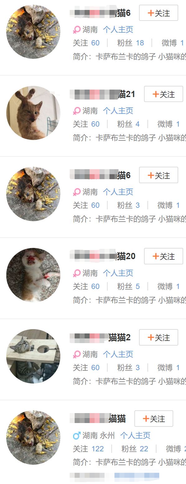 好想杀猫啊，谁送两只猫来给我玩玩u201du2026u2026这个畜生虐杀了上千只猫咪！_萌宠 