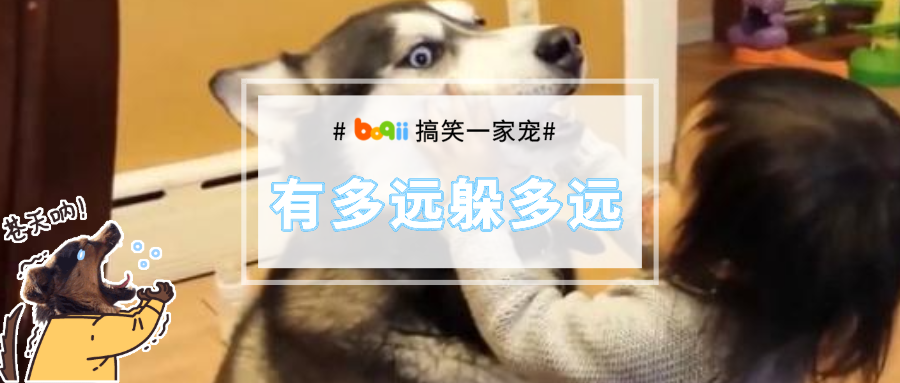 遛狗路上的6大“杀手”，连“别人家的熊孩子”都输惨了！