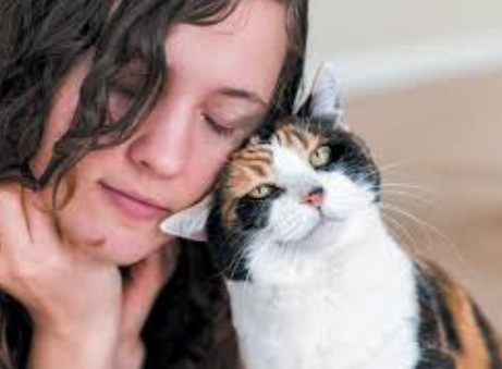猫咪拿你当父母的几种表现，如果全中，说明它很爱你