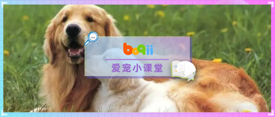 救命呀！我家狗子是大禽兽！它…它竟然睡了它亲妈…...