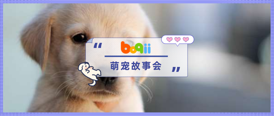 陪朋友去到宠物墓地，给狗狗和它的小邻居们送了花、弹了琴、唱了歌~