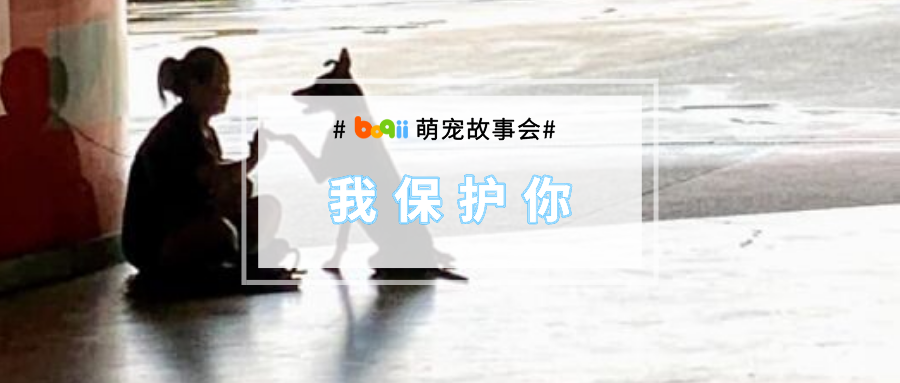 突发6.5级地震，她第一时间搂住了惊慌的狗子…“这次，换我保护你！”
