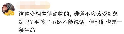 為博關註讓狗當大胃王，強迫吃辣椒跳跳糖，一次吃100種零食！網友怒了 寵物 第16張