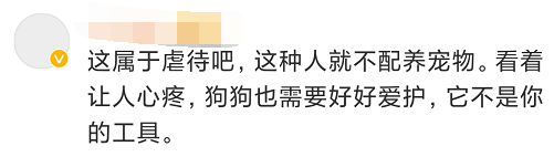 為博關註讓狗當大胃王，強迫吃辣椒跳跳糖，一次吃100種零食！網友怒了 寵物 第13張