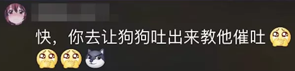 為博關註讓狗當大胃王，強迫吃辣椒跳跳糖，一次吃100種零食！網友怒了 寵物 第12張