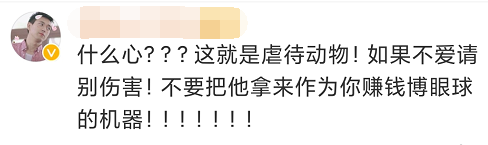 為博關註讓狗當大胃王，強迫吃辣椒跳跳糖，一次吃100種零食！網友怒了 寵物 第17張