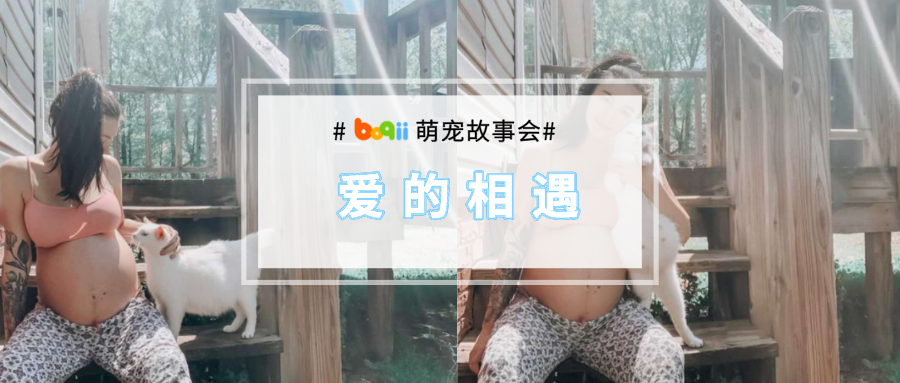 太美好啦！怀孕妈妈捡回怀孕猫咪，同一天生下了宝宝~