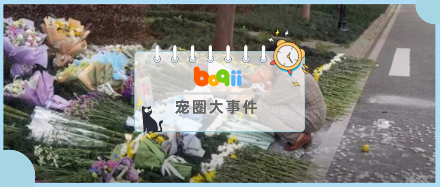 女孩“拿命控告遛狗不牵绳”，从32楼坠亡......养狗没有错，错的是不文明养宠的人！