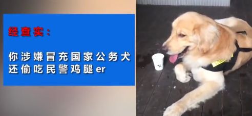 金毛冒充「警犬」騙吃騙喝，阿拉斯加把警局都要吃垮了！警察叔叔：有點崩潰…… 寵物 第4張