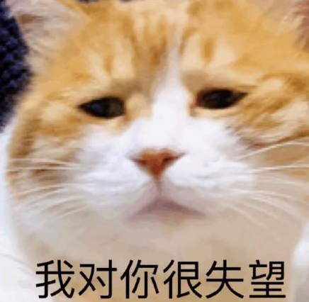女朋友要求丢掉养了3年的猫,只因猫天生吃肉?!小哥怒而分手:想都别想!-微信头条网 女朋友要求丢掉养了3年的猫,只因猫天生吃肉?!小哥怒而分手:想都别想!