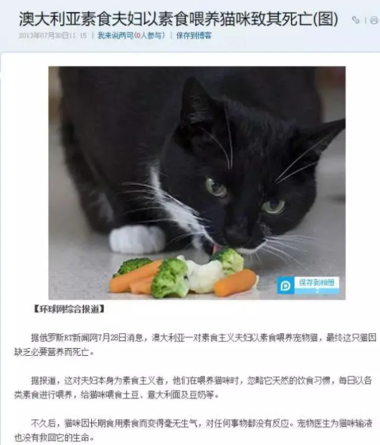 女朋友要求丢掉养了3年的猫,只因猫天生吃肉?!小哥怒而分手:想都别想!-微信头条网 女朋友要求丢掉养了3年的猫,只因猫天生吃肉?!小哥怒而分手:想都别想!