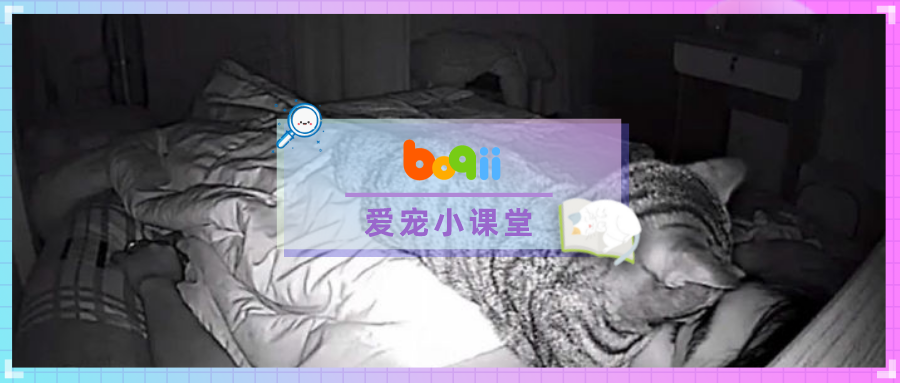 半夜梦到有人在我脑门儿上订书，一睁眼…呵呵你辛苦了啊！【文末有礼】】